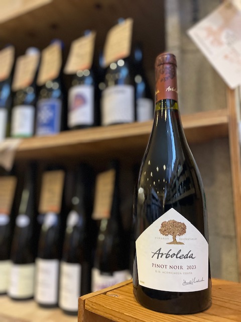 ピノノワール２０２３